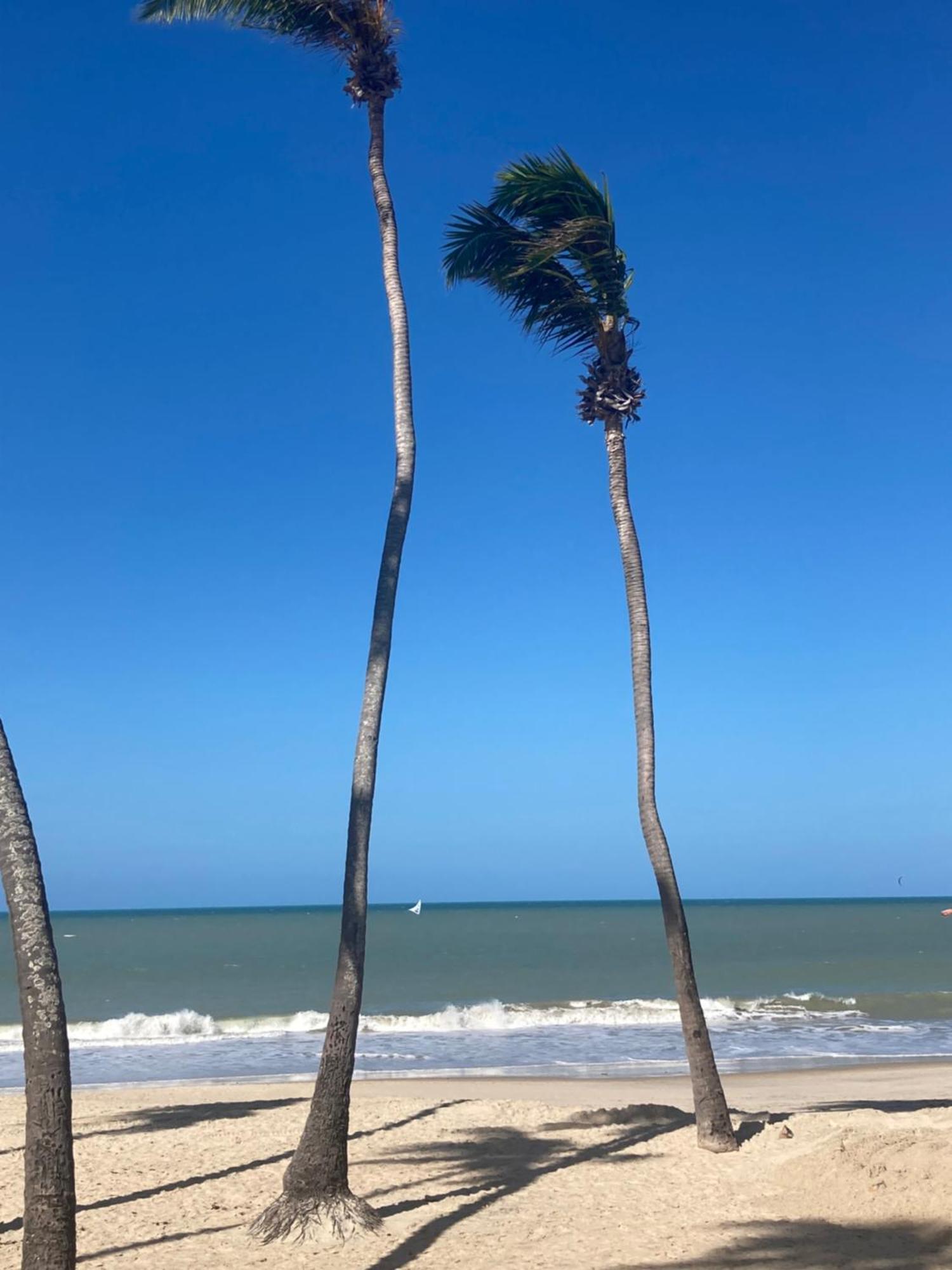 Eco Paradise Cumbuco Pe Na Areia 202 Ngoại thất bức ảnh